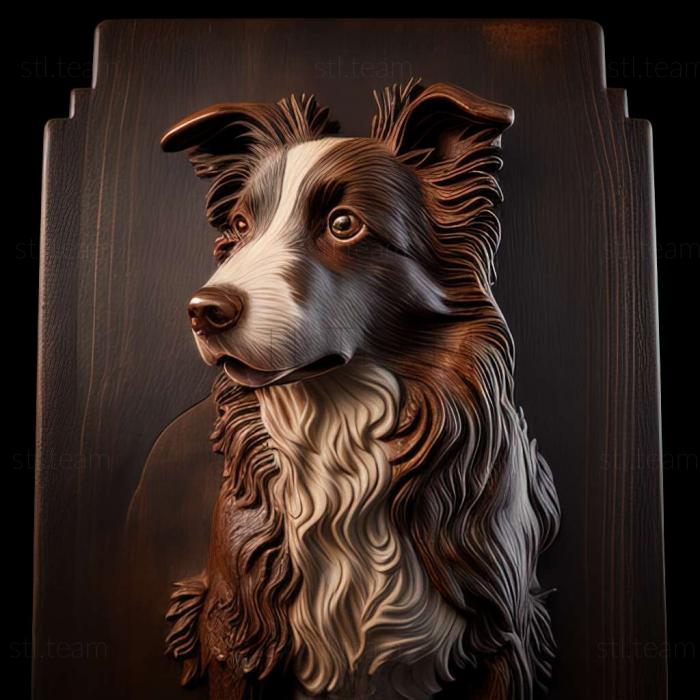 3D model Border Collie dog (STL)